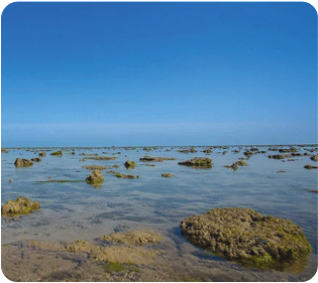 Marine National Park